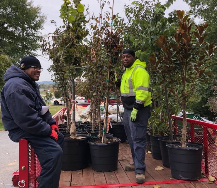 Public works staff stand with trees for community tree planting