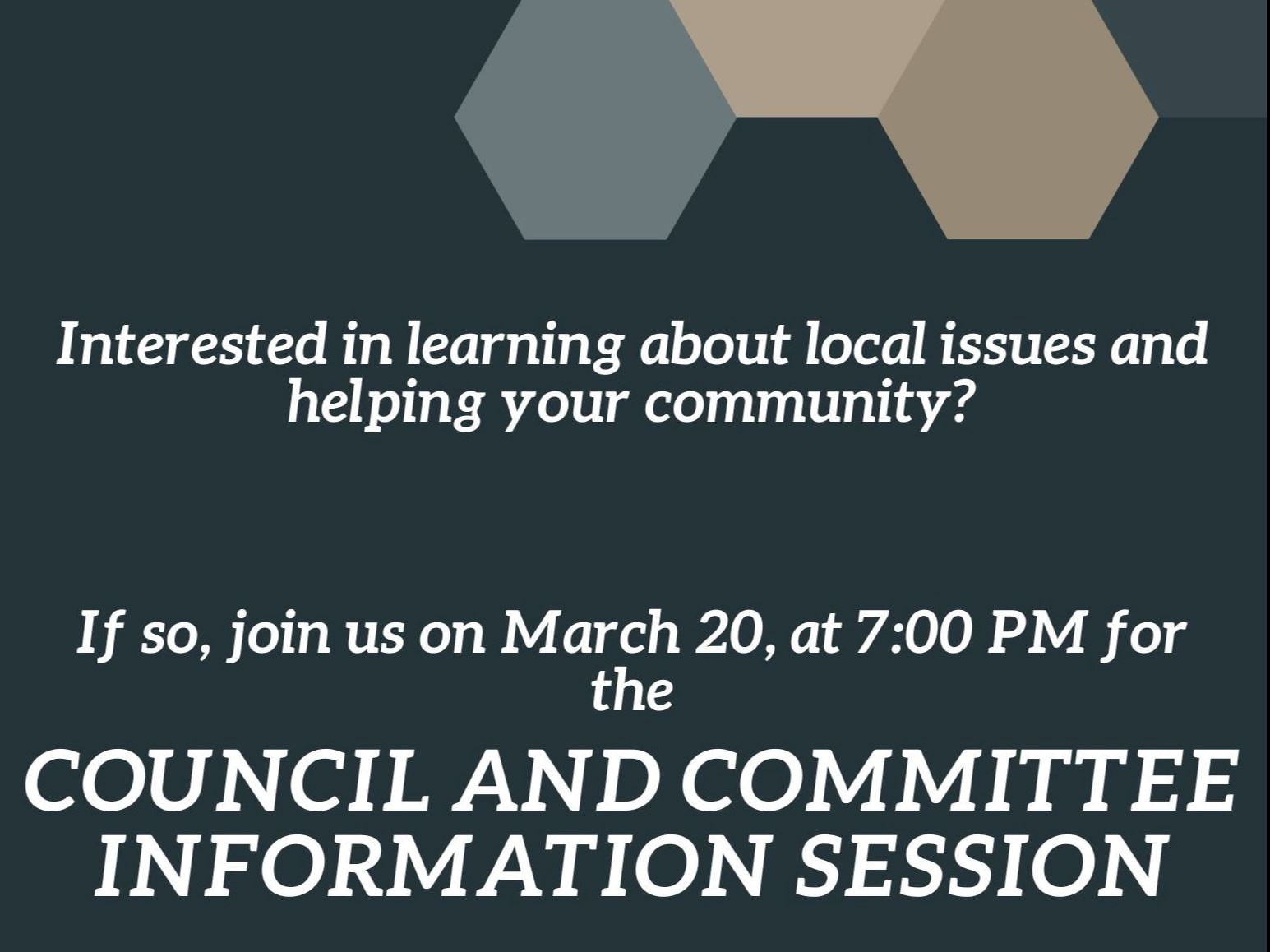 picture of octagons with the words Council and committee information session