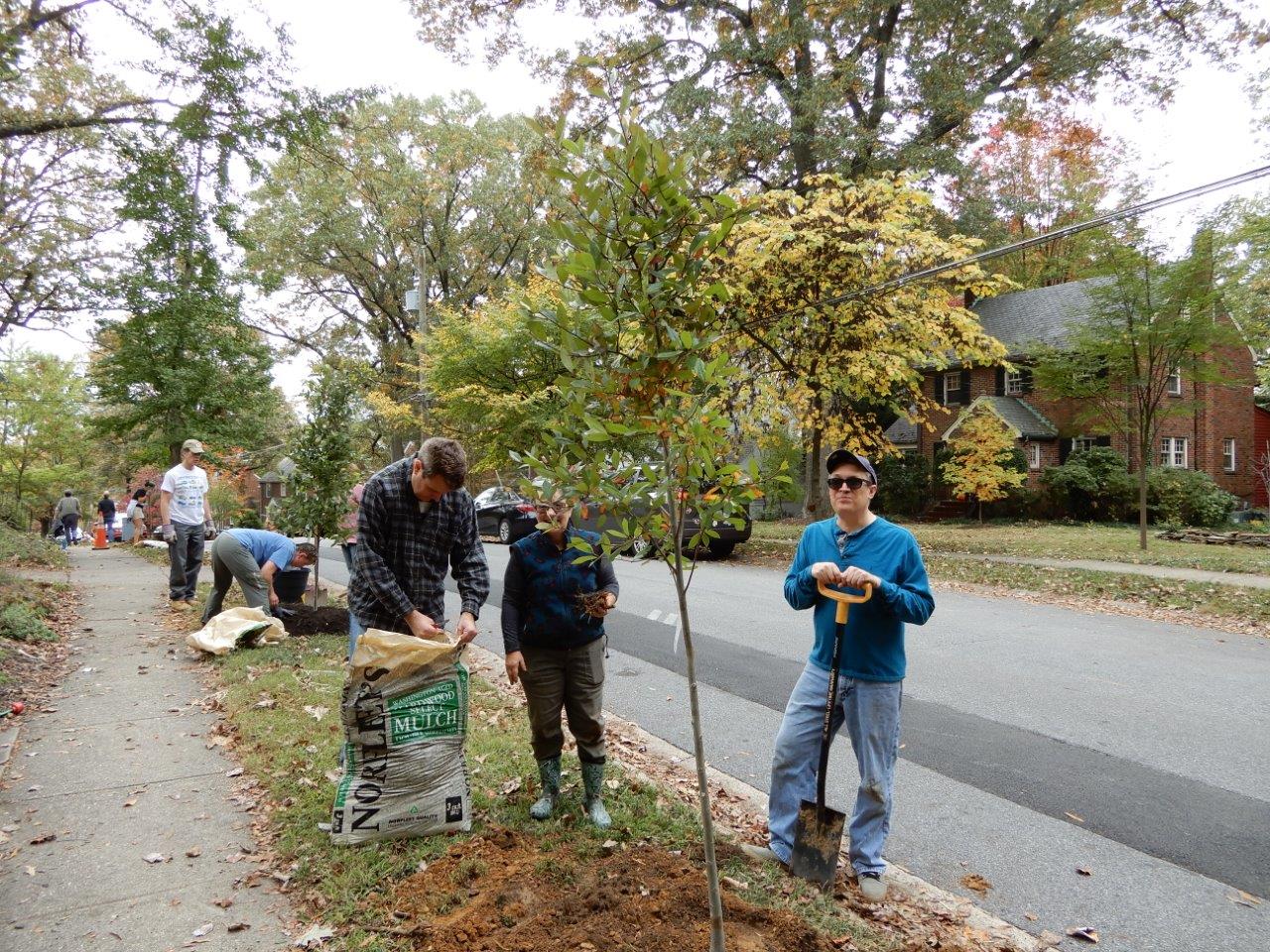 Volunteers pose near a tree