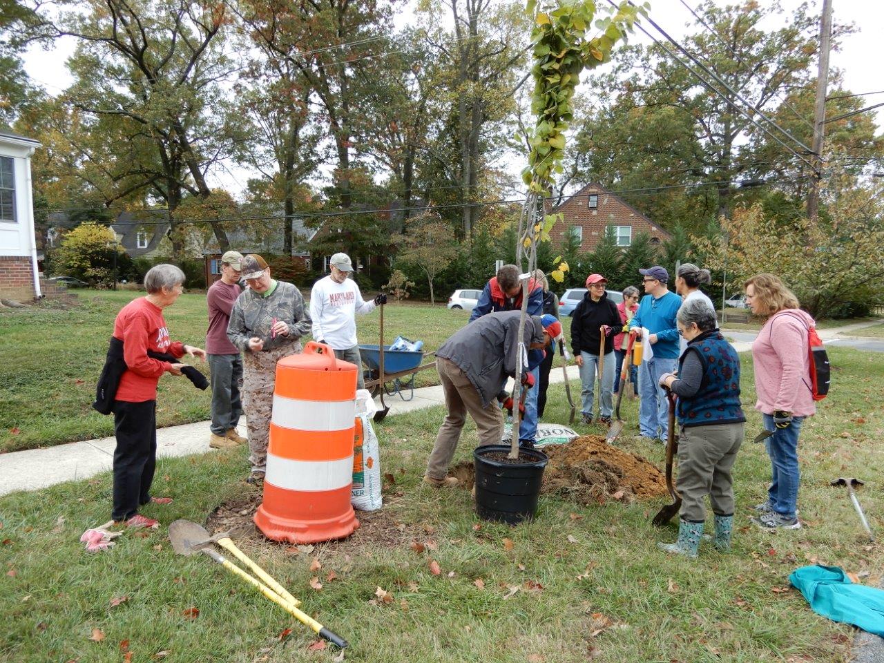 Group of volunteers gather to plant trees